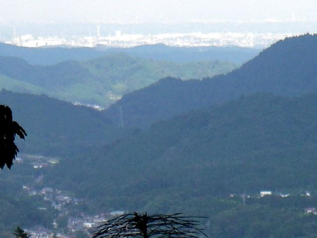 添付画像