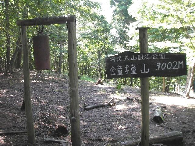 添付画像