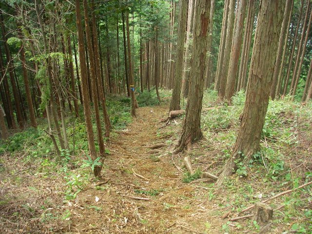 添付画像