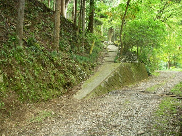添付画像